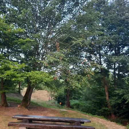 La 'nea Marin Campsite Sibisel (Beriu, Hunedoara)