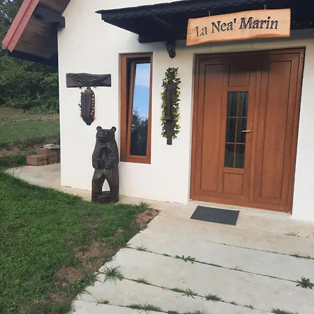 La 'nea Marin Sibisel (Beriu, Hunedoara)