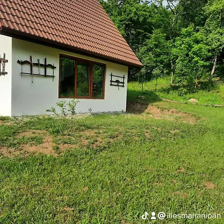 La 'nea Marin * Sibisel (Beriu, Hunedoara)